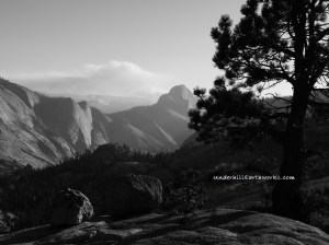 Yosemitte_UnderhillEarthworks_2017