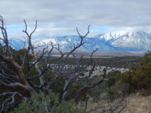 Pinyon Pine Trail - January 2018