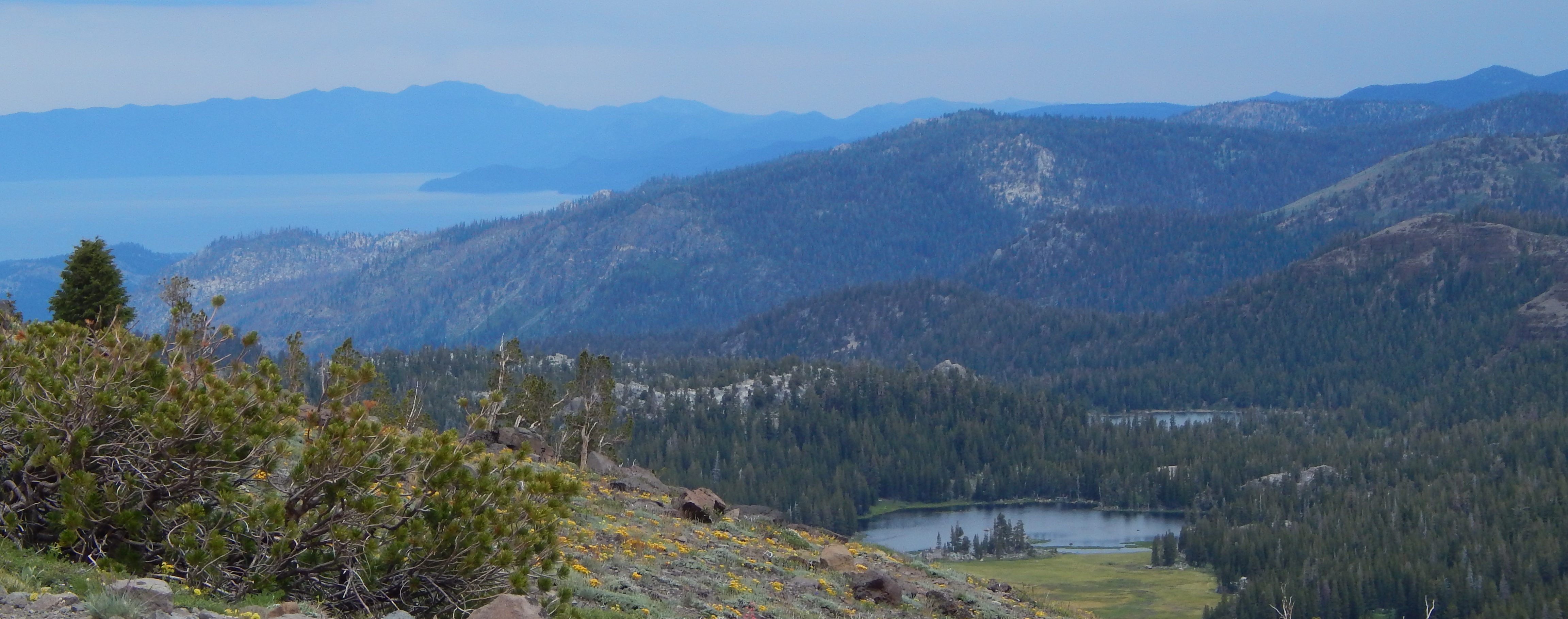 PCT view of Lake Tahoe